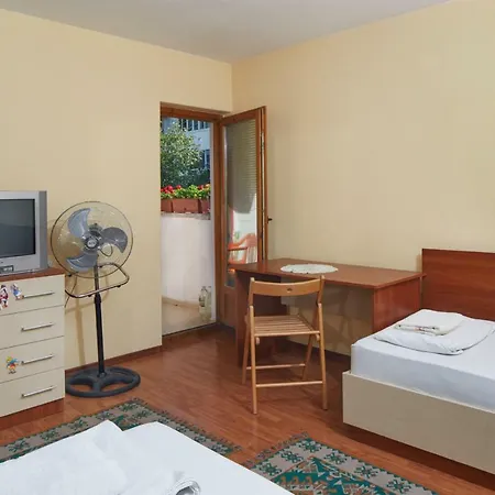 Guest & Homestay Edelweiss نيسيبار