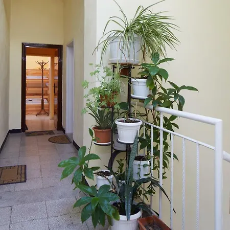 Guest & Homestay Edelweiss نيسيبار